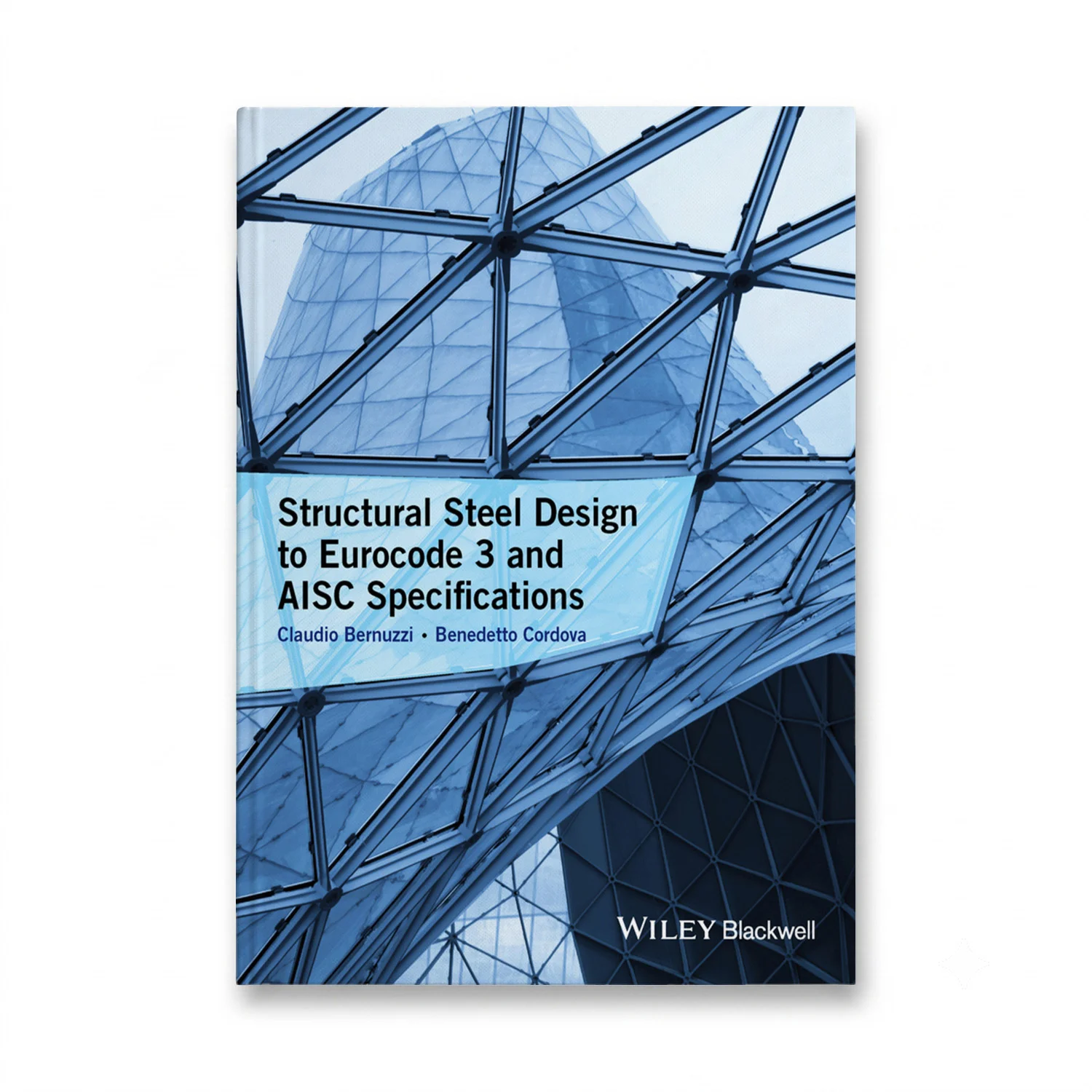 9781118631287